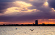 © Renee - sunset over the city, sky, bird, flying, sea, orange, clouds, skyline, silhouette, purple, sarasota, Florida