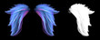 Soft blue colorful angel wings with clipping mask