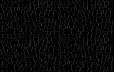 Wall Mural - Crocodile skin pattern. Black viper, drawing on the snake skin. Reptile surface monochrome croc leather texture. Animal background for printing. Vector wallpaper