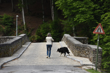 Wall Mural - femme solitude chien balade promenade marche