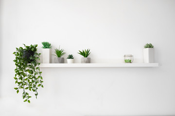 White square frame and a group of indoor plants on a bookshelf. Minimal composition.