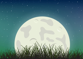 Poster - moonlight and grass silhouette on night sky