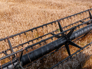 Wheat harvesting in the summer. Red harvester working in the field. Golden ripe wheat harvest agricultural machine harvester on the field.