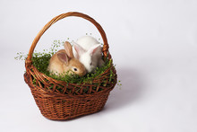 Two Small And Beautiful Rabbits White And Orange Sit In A Basket Full Of Grass On A White Isolated Background
