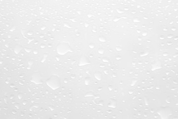 Wall Mural - abstract water drops on a white background