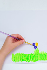 Wall Mural - Top view of hand of child drawing flowers on green grass with brush by watercolors on white paper.