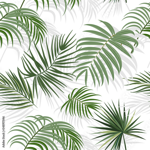 Fototapety Botaniczne  tropical-jungle-palm-leaves-seamless-pattern