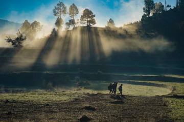 Morning in the Mountains 