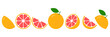 Grapefruit fresh slices set. Cut grapefruits fruit slice for juice or vitamin c logo. Citrus icons vector illustration isolated on white background.