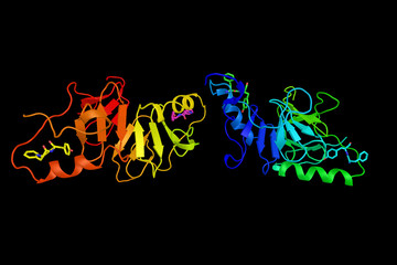 Sticker - Neurophysin II, a carrier protein also known as a stimulator of prolactin secretion. 3d rendering