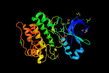 Wall Mural - Phosphoinositide-dependent kinase-1, a protein implicated in the development and progression of melanomas. 3d rendering