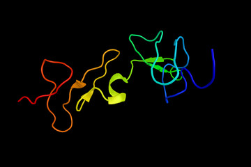 Canvas Print - Protein S, a vitamin K-dependent plasma glycoprotein synthesized in the liver. A cofactor to Protein C in the inactivation of Factors Va and VIIIa. 3d rendering