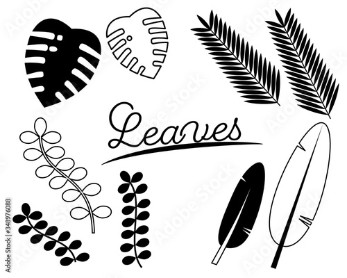 152 481 Leaf Ivy Wall Murals Canvas Prints Stickers Wallsheaven