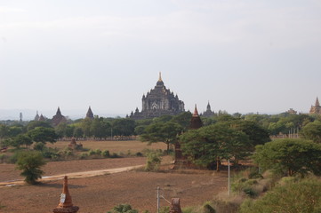 Canvas Print - Templos de Bagan 