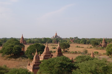 Canvas Print - Templos de Bagan 