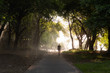 © Kristin Greenwood - Walkway to Kuta Beach in Bali. The back of one unidentifiable person walking. Light-shafts coming through trees. Soft focus. Empty Bali during corona virus crisis. Tourism. Mixed lighting conditions.