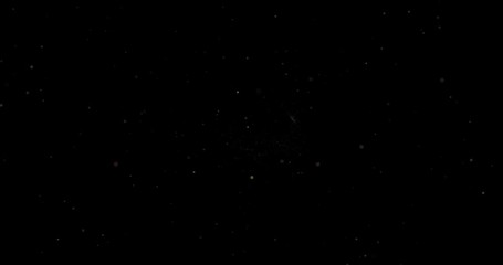 Wall Mural - abstract flying dust particles on a black background