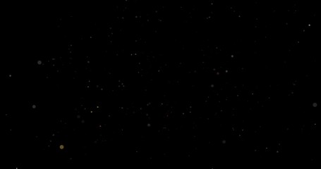 Wall Mural - abstract flying dust particles on a black background