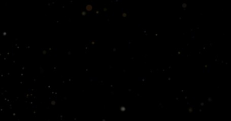 Wall Mural - abstract Flying dust particles on a black background