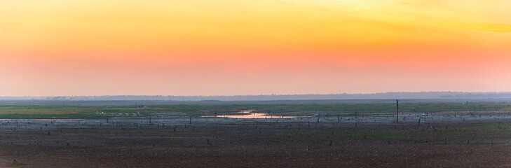 Wall Mural - Panoramic beautiful landscape in the parched lake with sunset sky