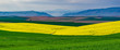 © T L Peterson - landscape of winter wheat, blooming canola and fallow fields leading to the Columbia Gorge