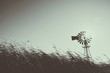 canvas print picture - Traditional Wind Mill