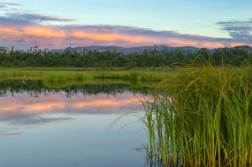 Wall Mural - Idyllic sunrise on the taiga river. Tatar strait coast. Khabarovsk Krai, far East, Russia.