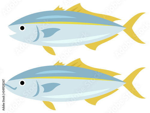 ブリのイラスト Vector De Stock Adobe Stock ブリのイラスト Vector De Stock Adobe Stock