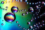 Fototapeta Kwiaty - Water droplets iridescent in different colors