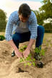 Young man planting in the garden