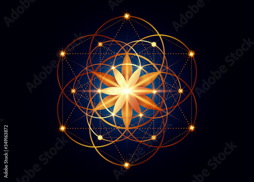Cuadros en Lienzo Seed of life symbol Sacred Geometry