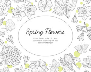 Poster - Spring Flowers Banner Template with Wild Meadow Plants and Leaves Pattern and Space for Text Hand Drawn Vector Illustration