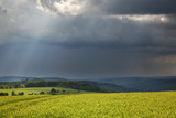 Fototapeta Tęcza - Landscape near Bornich. Rhineland-Palatinate state Rheinland-Pfalz Germany