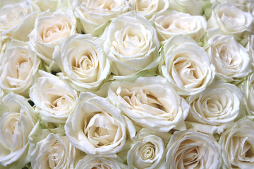  Natural floral background with bouquet of white roses