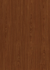 Wall Mural - detailed natural wood texture background