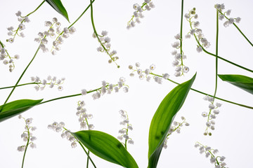 Wall Mural - flower pattern background of Lily of the valley flowers top view, flat lay. concept spring, summer, Mother's Day holiday, March 8. Composition of flowers.Floral abstract background.