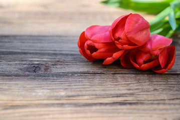 Poster - Red tulips on a wooden background, with a copy space