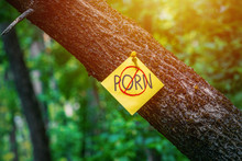 No Porn - Warning Sign Free Stock Photo - Public Domain Pictures