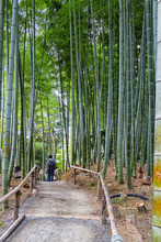 Bamboo Grove In Arashiyama In Kyoto, Japan Near The Famous Tenryu-ji Temple. Tenryuji Is A Zen Buddhist Temple Which Means Temple Of The Heavenly Dragon And Is A World Cultural Heritage Site.