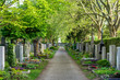 Friedhof im Frühling / Grabpflege: frisch bepflanzte Gräber und schöne grüne Bäume