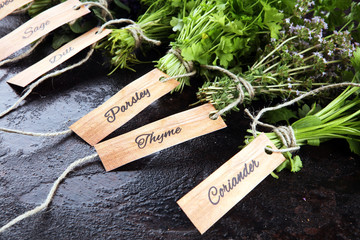 Wall Mural - Fresh herbs lay on a rustic background. Basil, flower sage, thyme, oregano, dill, chives, parsley and coriander.