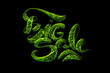 © skrotov - Big Sale handmade lettering, calligraphy made by green particles, for prints, posters, web business advertising