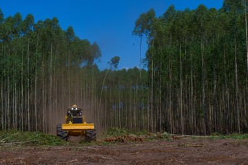 Wall Mural - Logging Equipment Forestry Machine