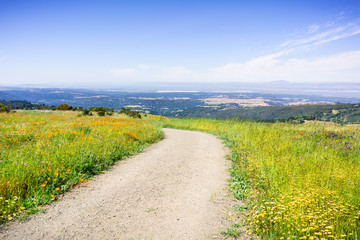 Wall Mural - Hiking trail in Santa Cruz mountains lined up with tall grass and blooming wildflowers; the San Francisco Bay Shoreline and Silicon Valley visible in the valley; California