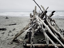 Close-up Of Driftwood On Beach Against Sky