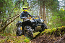 A Man In A Yellow Helmet Rides A Quad Bike Through The Woods. Quad Bike On A Forest Road. Journey Through The Forest On A Quad Bike. Sale And Rental Of ATVs. Driving On Bad Roads.