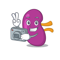 Poster - a professional photographer kidney cartoon picture working with camera