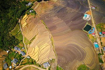 Aerial image of terraces in Y Ty, Lao Cai full of water, ready for plowing and harrowing.