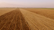 © DenisProduction.com - Aerial view of wheat field after harvesting. Cars moving on road near field. Beautiful agricultural landscape.