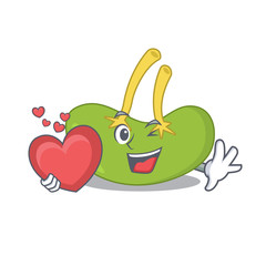 Poster - A sweet spleen cartoon character style holding a big heart